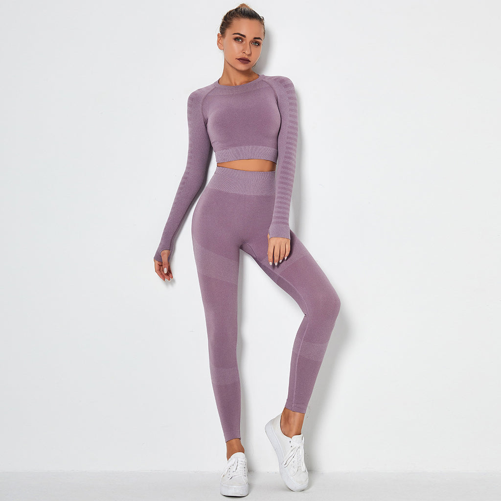 Seamless Knit Long Sleeve Crop Top - Mauve