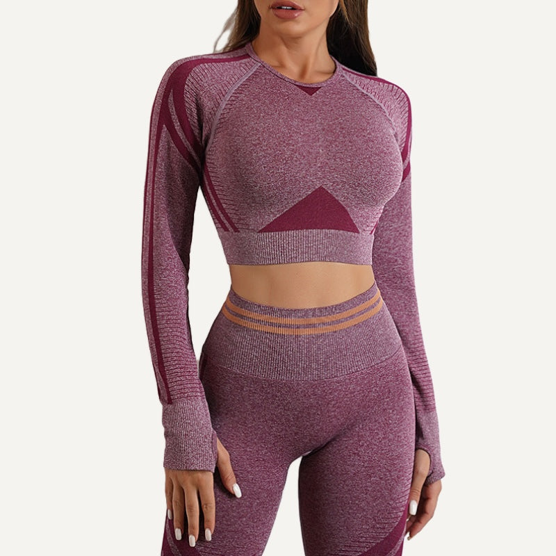 Long-Sleeve Crop Top with Textured Panels - Wine