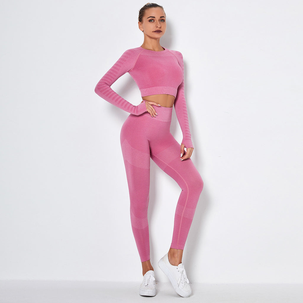 Seamless Knit Long Sleeve Crop Top - Pink